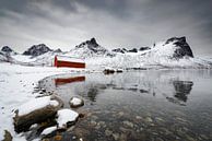 Die Insel Senja in Nordnorwegen an einem kalten Wintertag von Sjoerd van der Wal Fotografie Miniaturansicht