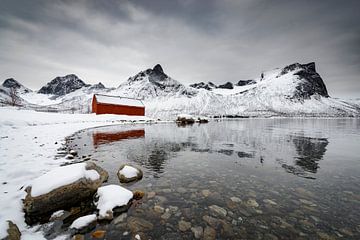 Senja eiland in Noord-Noorwegen tijdens een koude winterdag van Sjoerd van der Wal Fotografie