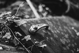 Auto deur sur Bas Glaap