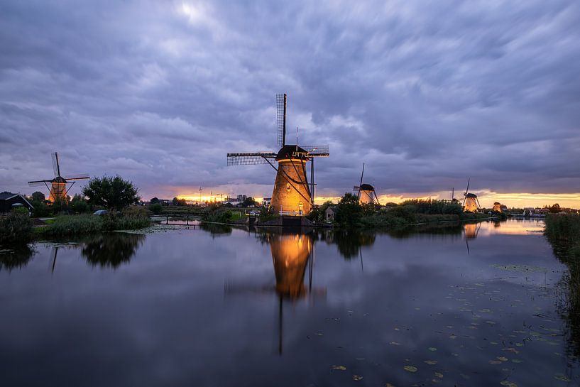 De rug toegekeerd van Jan Koppelaar