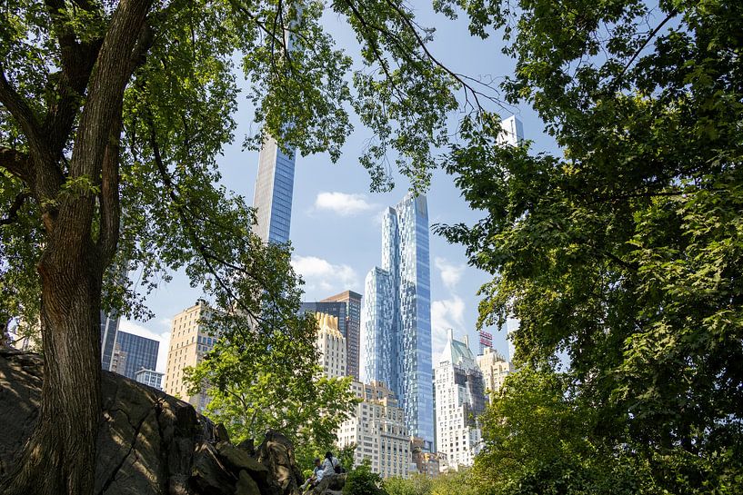 A vista from Central Park, New York by Marloes ten Brinke