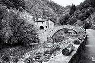 Old stone bridge in Tuscany by Frank Andree thumbnail