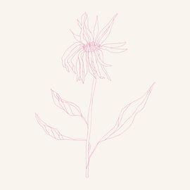 Romantic botanical drawing in neon pink on white no. 4 by Dina Dankers