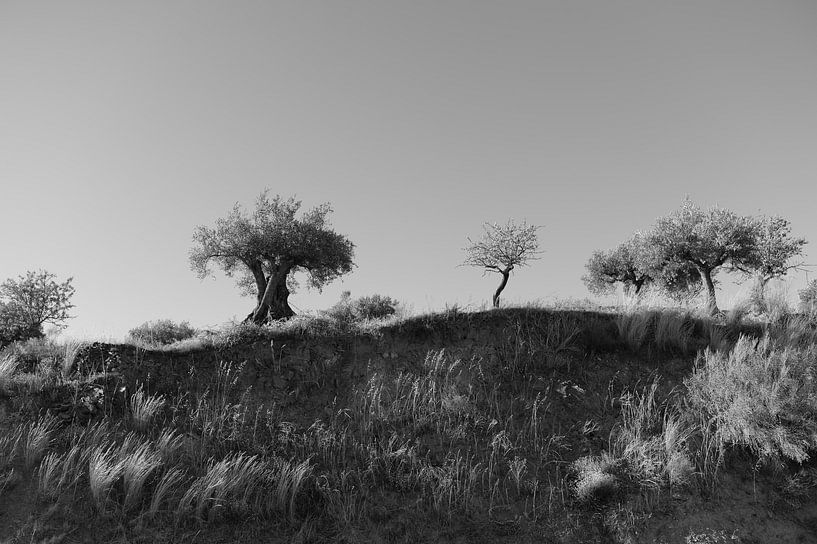 Impressions sur l'Espagne et le Portugal 5 par Rob van Dam
