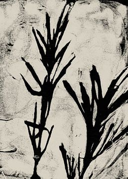 Abstract botanisch. Bladeren in zwart en wit. van Dina Dankers