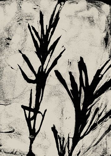 Abstract botanisch. Bladeren in zwart en wit.