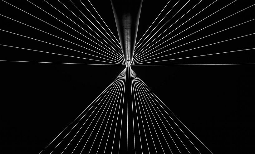 Brug Detail Calatrava Brug von Mario Calma