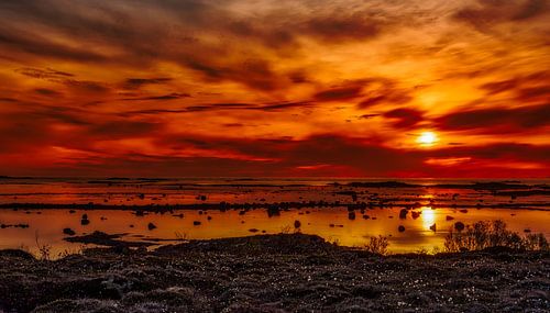 Midnight sun