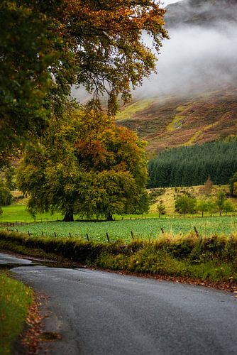 Herfst in de Cairngorms