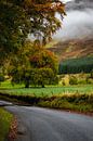 Herfst in de Cairngorms van Pascal Raymond Dorland thumbnail