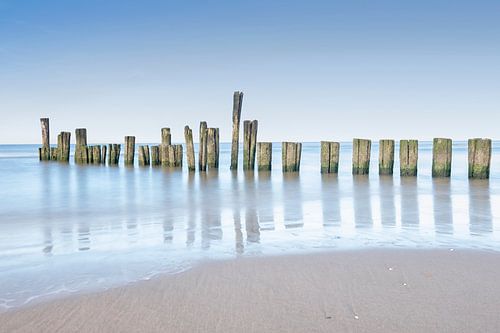 Palen in Weerspiegeling