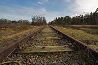 Old railway line "Borkense Course" in the Netherlands by Tonko Oosterink thumbnail