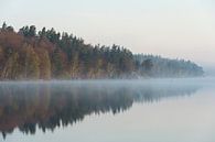 Landschaftsaufnahme, See in Schweden, frühe Morgenstimmung, viel Atmopshäre von wunderbare Erde Miniaturansicht