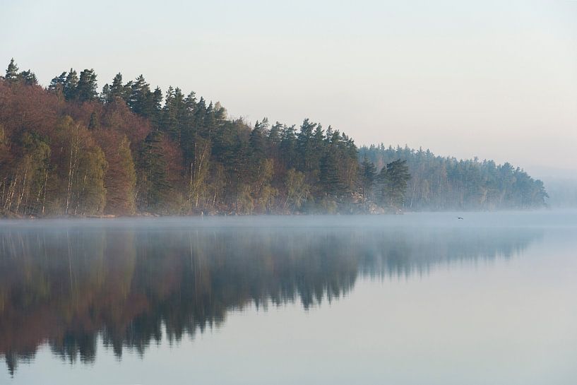 Landschaftsaufnahme, See in Schweden, frühe Morgenstimmung, viel Atmopshäre von wunderbare Erde