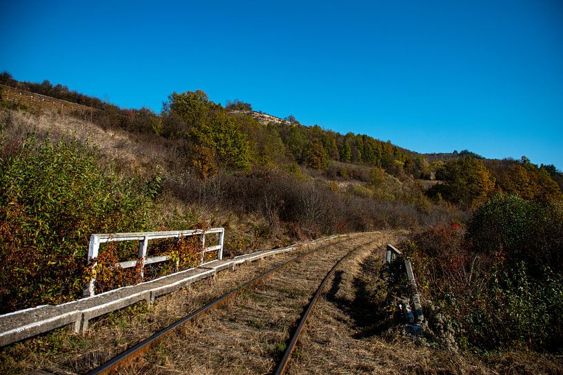 Ein Ausweg von Amber de Jongh