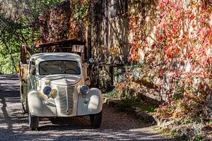 Klassischer Fiat Pickup auf italienischem Weinberg