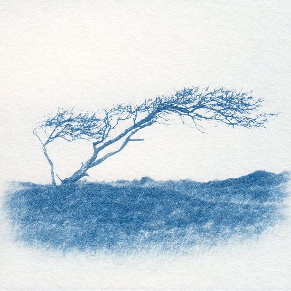 Arbre à vent par Natasja Vugts