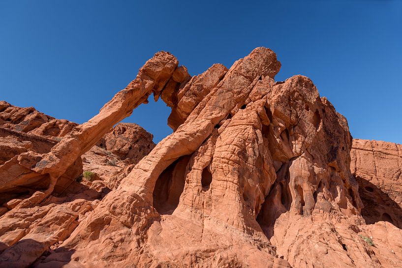 Elephant Rock: The Powerful Stone Giant in the Valley of Fire by Gerry van Roosmalen