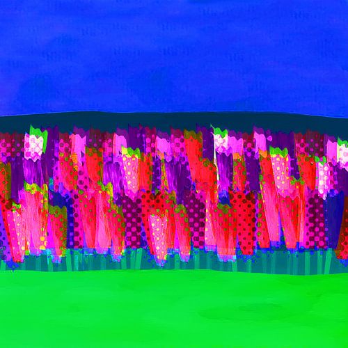 Lisse flowers pink and red