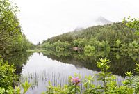 Schottische Natur