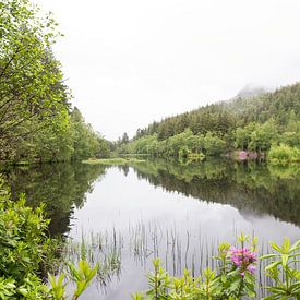 La nature écossaise sur Sharona Sprong