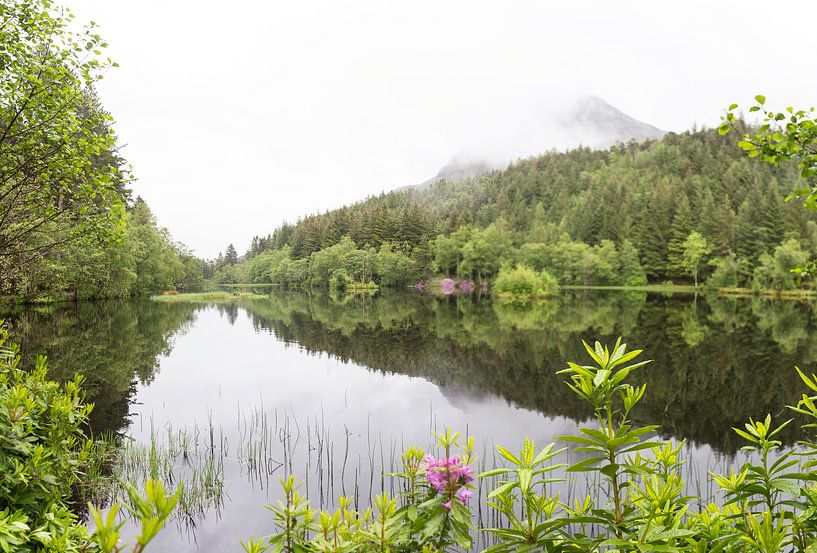 Scottish nature by Sharona Sprong