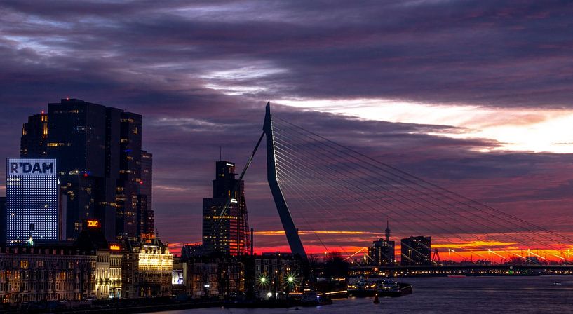 Pont Erasmus par Nicolette Uchtmann