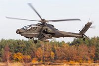Apache helikopter in de herfstkleuren