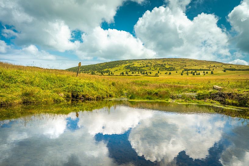 Bílá louka [II] by rosstek ®