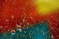 Un monde de couleurs