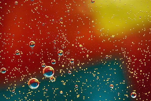 Un monde de couleurs