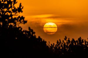 Sonnenaufgang auf Sylt