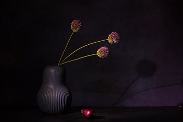 Nature morte zen minimaliste sur Saskia Dingemans Awarded Photographer