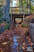 Brücke
