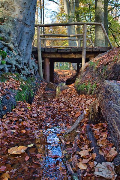 Bridge by Henrico Fotografie