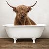 Scottisch Highland Cow In Bathtub by Diana van Tankeren