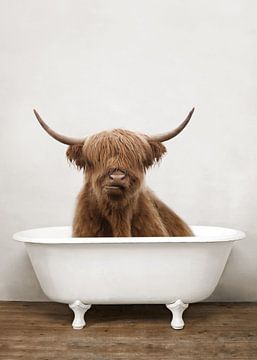 Scottisch Highland Cow In Bathtub