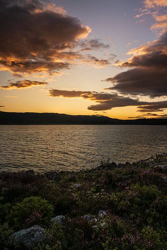 Paysage naturel suédois - Le calme du soir, auréolé d'or, sur le lac Hällsjön