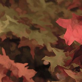 Herbstliche Farben von Marianne Twijnstra