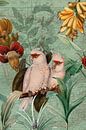 Papegaai in het tropisch regenwoud van Floral Abstractions thumbnail