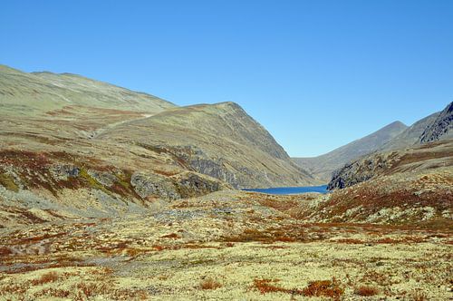 Rondane Nationaal Park