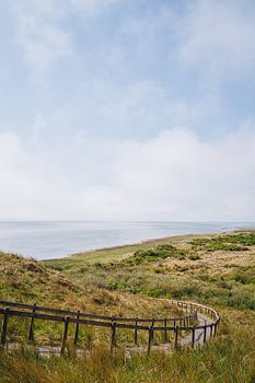 The green road to the Wadden Sea near Ameland | Fine Art Nature Photography in the Netherlands