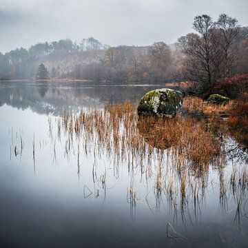 Herfstkleuren bij Loch Trool in Schotland van Michel Seelen