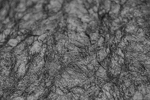 The breath of Nature