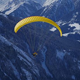Gleitschirmfliegen in den Tuxer Alpen von Babetts Bildergalerie