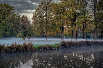 Flüchtige Begegnungen im Nebel