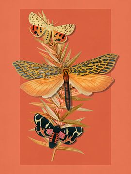 Summer into Autumn by Marja van den Hurk