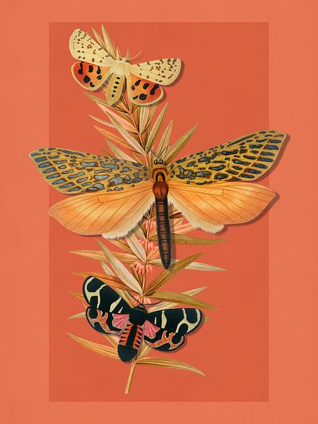 Summer into Autumn by Marja van den Hurk