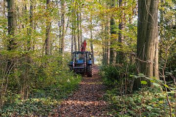 Tractor in het bos van Marcel Derweduwen