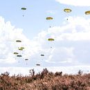 Airborne dropping Ede von Tess Smethurst-Oostvogel Miniaturansicht